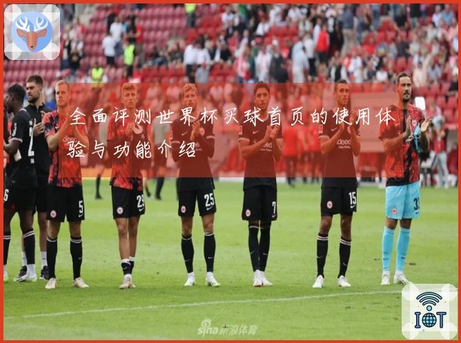 全面评测世界杯买球首页的使用体验与功能介绍