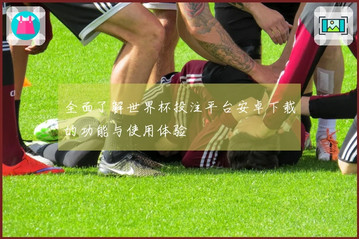 全面了解世界杯投注平台安卓下载的功能与使用体验