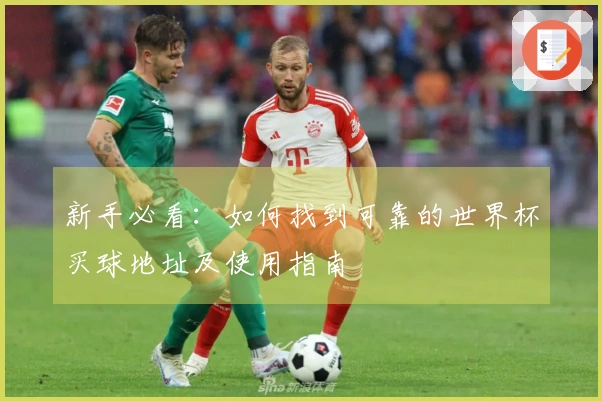 新手必看：如何找到可靠的世界杯买球地址及使用指南