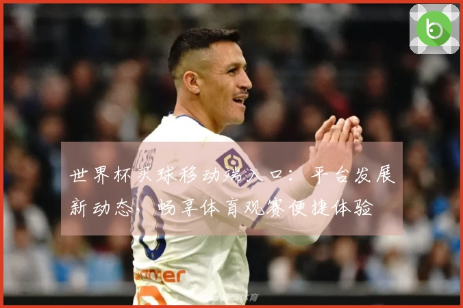 世界杯买球移动端入口：平台发展新动态，畅享体育观赛便捷体验