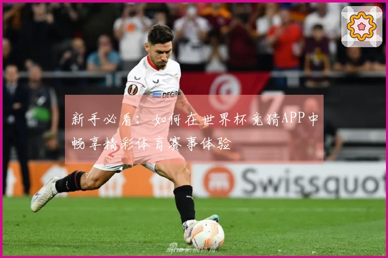 新手必看：如何在世界杯竞猜APP中畅享精彩体育赛事体验