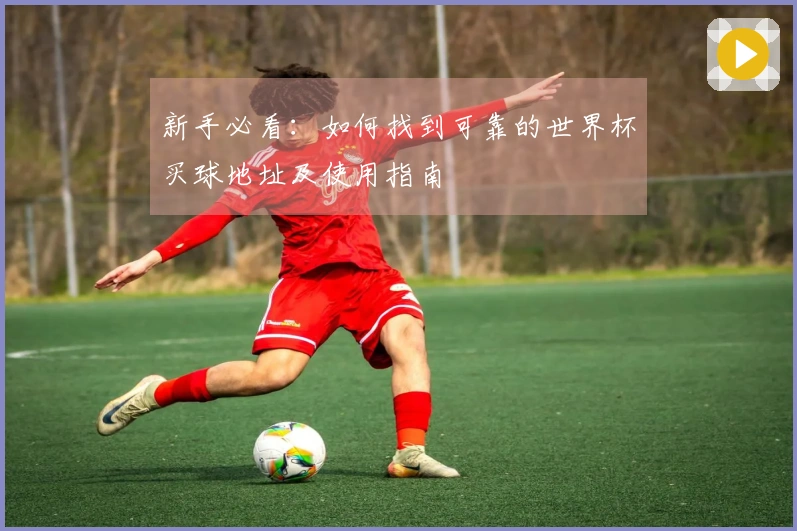 新手必看：如何找到可靠的世界杯买球地址及使用指南