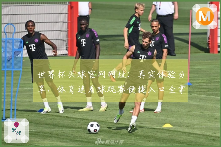 世界杯买球官网网址：真实体验分享，体育迷看球观赛便捷入口全掌握