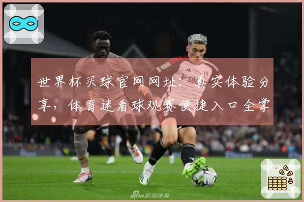 世界杯买球官网网址：真实体验分享，体育迷看球观赛便捷入口全掌握