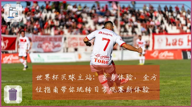 世界杯买球主站：亲身体验，全方位指南带你玩转日常观赛新体验