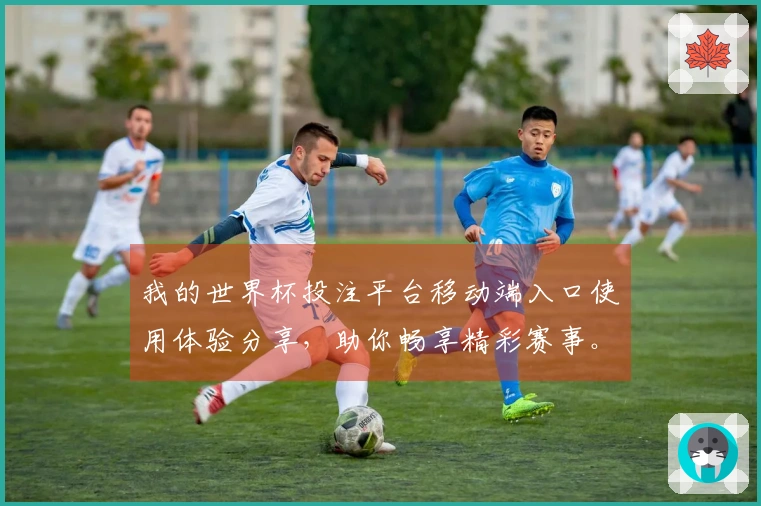 我的世界杯投注平台移动端入口使用体验分享，助你畅享精彩赛事。