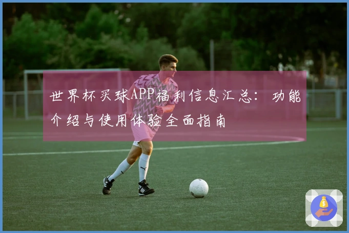 世界杯买球APP福利信息汇总：功能介绍与使用体验全面指南