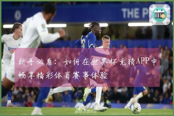 新手必看：如何在世界杯竞猜APP中畅享精彩体育赛事体验