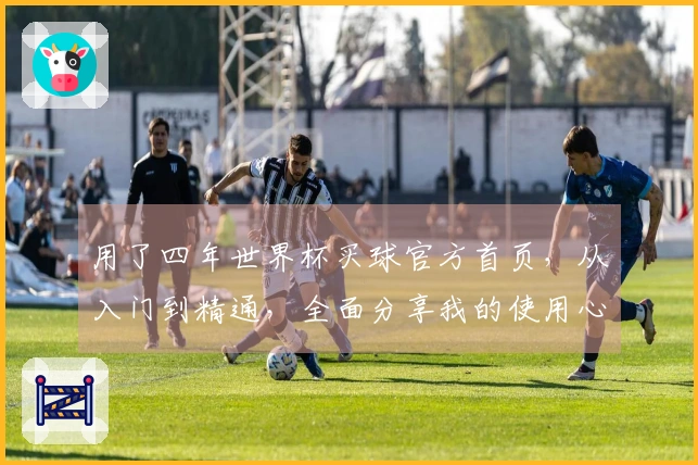用了四年世界杯买球官方首页，从入门到精通，全面分享我的使用心得与建议
